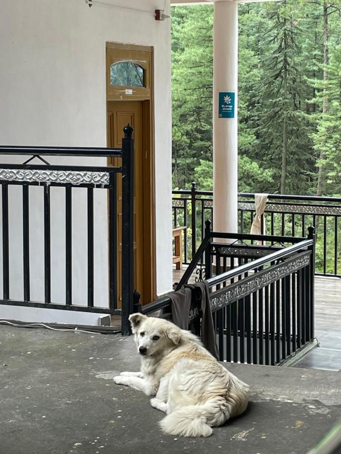 Wabi Sabi Riverside Hostel Kasol Ngoại thất bức ảnh